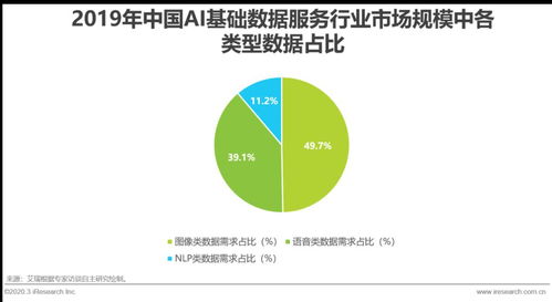 2020年中國(guó)AI基礎(chǔ)數(shù)據(jù)服務(wù)行業(yè)發(fā)展報(bào)告 數(shù)據(jù)處理服務(wù)篇